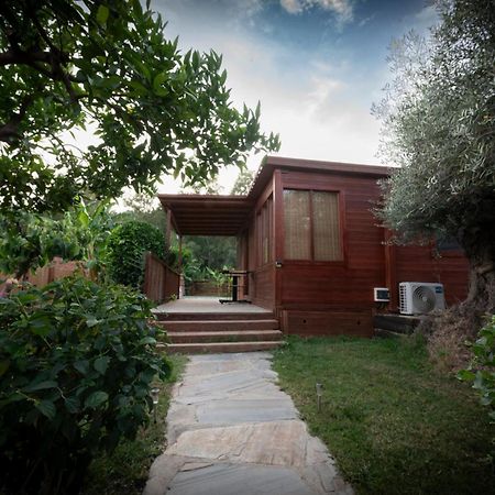 오르히바 El Jardin Del Eden 빌라 외부 사진