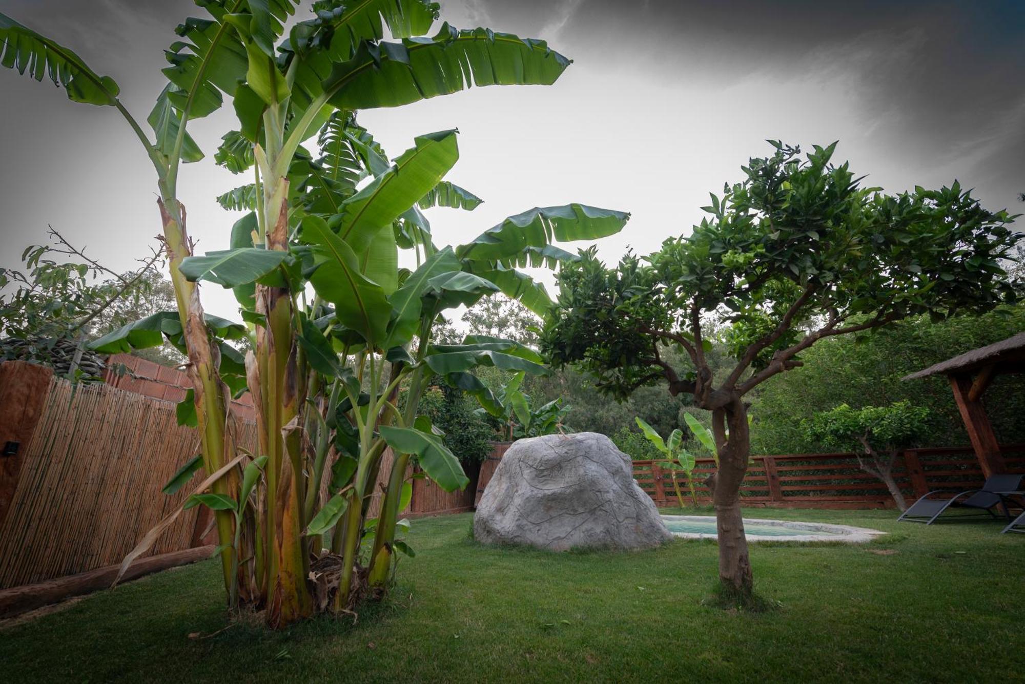 오르히바 El Jardin Del Eden 빌라 외부 사진