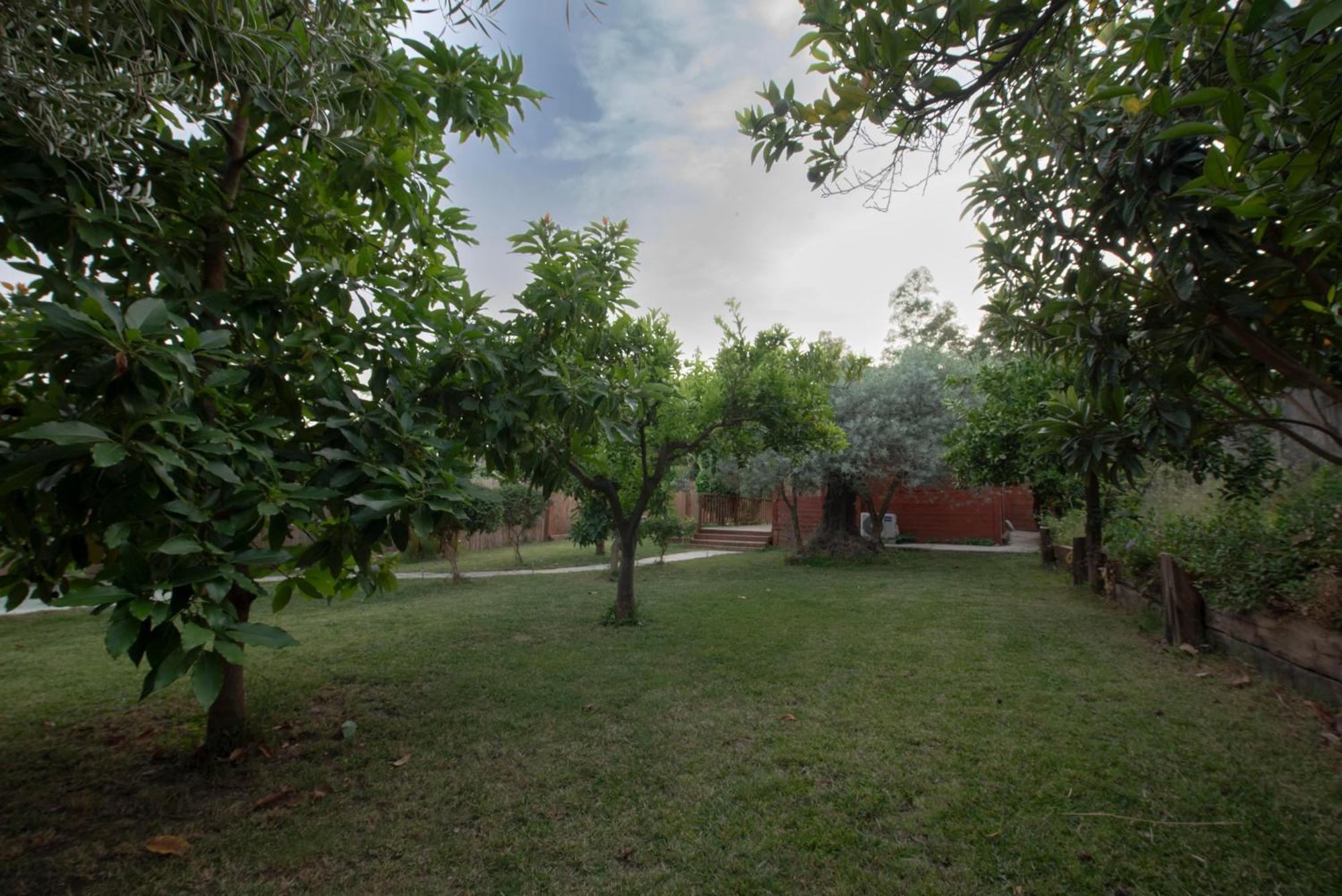 오르히바 El Jardin Del Eden 빌라 외부 사진